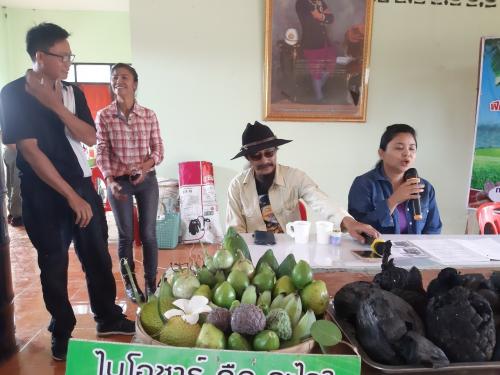 จัดกิจกรรมฝึกอบรมโครงการระบบส่งสริมการเกษตรแบบแปลงใหญ่มันสำปะหลัง ปีที่ 1ปีงบประมาณ2563