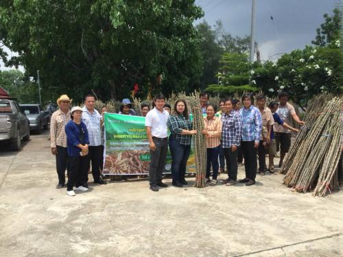 สำนักงานการปฏิรูปที่ดินจังหวัดสระบุรี มอบหมายให้กลุ่มยุทธศาสตร์และการปฏิรูปที่ดิน จัดฝึกอบรมโครงการระบบส่งเสริมการเกษตรแบบแปลงใหญ่ (ปี 2560) งบประมาณปี 2561