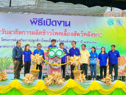 สำนักงานการปฏิรูปที่ดินจังหวัด เข้าร่วมกิจกรรมในงานวันสาธิตการผลิตข้าวโพดเลี้ยงสัตว์หลังนา. โครงการส่งเสริมการปลูกข้าวข้าวโพดเลี้ยงสัตว์ฤดูแล้งหลังนา ปี 2560/2561