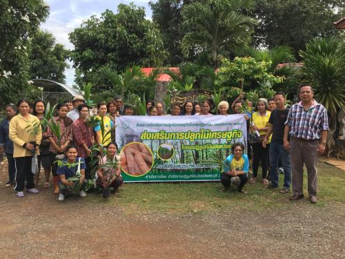 สำนักงานการปฏิรูปที่ดินจังหวัดสระบุรี (ส.ป.ก.สระบุรี)  จัดทำโครงการส่งเสริมและปลูกไม้เศรษฐกิจในเขตปฏิรูปที่ดิน ปีงบประมาณ ๒๕๖๑ กิจกรรม : ส่งเสริมการปลูกไม้เศรษฐกิจในเขตปฏิรูปที่ดินจังหวัดสระบุรี