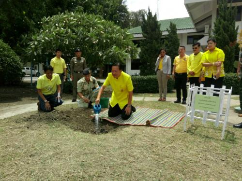 สำนักงานปฏิรูปที่ดินจังหวัดสระบุรี(ส.ป.ก.สระบุรี) ร่วมกิจกรรมส่งมอบเครื่องสับมันสำปะหลังขนาดเล็กร่วมกับกรมการค้าภายใน กระทรวงพาณิชย์ ให้แก่วิสาหกิจชุมชนนำไปใช้แปรรูปหัวมันสำปะหลังเป็นมันเส้นจำหน่าย เพื่อสร้างมูลค่าเพิ่ม