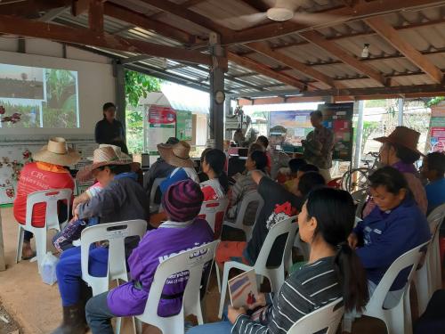 จัดฝึกอบรมโครงการ : ระบบส่งเสริมการเกษตรแบบแปลงใหญ่ (ปี 2-3) ปีงบประมาณ 2562 หลักสูตร : เทคนิคและนวัตกรรมการลดต้นทุนเพื่อเพิ่มผลผลิต (แปลงทดลองเมล็ดพันธุ์)