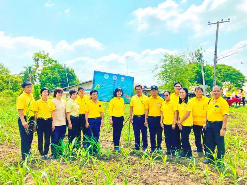 ร่วมกิจกรรมการจัดงานวันถ่ายทอดเทคโนโลยีเพื่อเริ่มต้นฤดูกาลผลิตใหม่ (Field day ) ปี 2562
