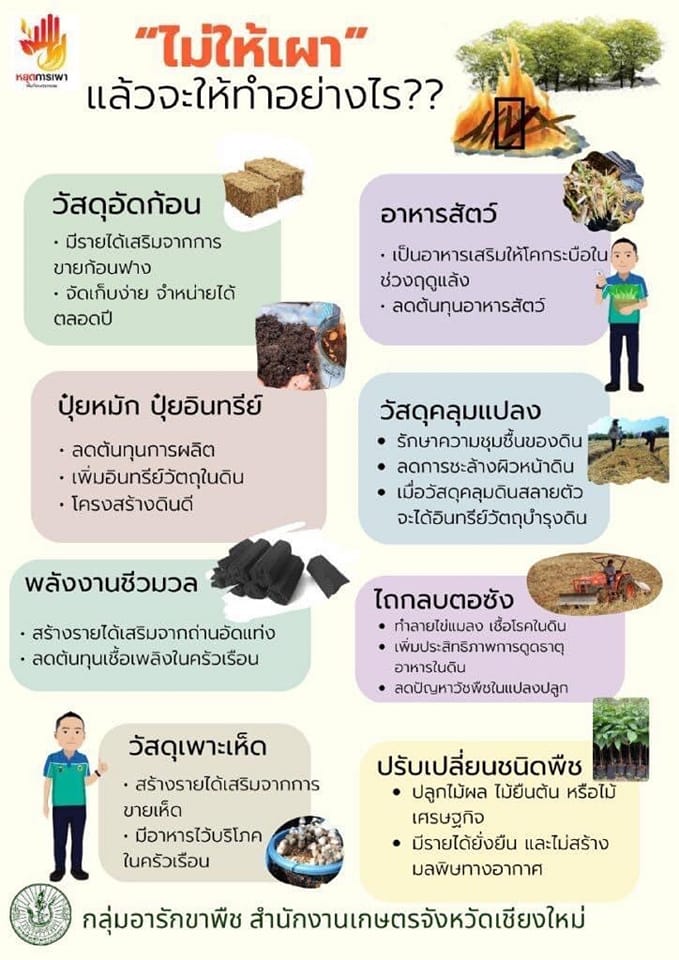 ไม่ให้เผา แล้วต้องทำอย่างไร