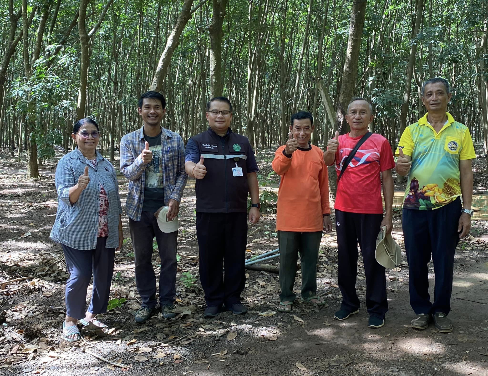 ดำเนินการสำรวจรังวัดสอบเขตแปลงที่ดิน
