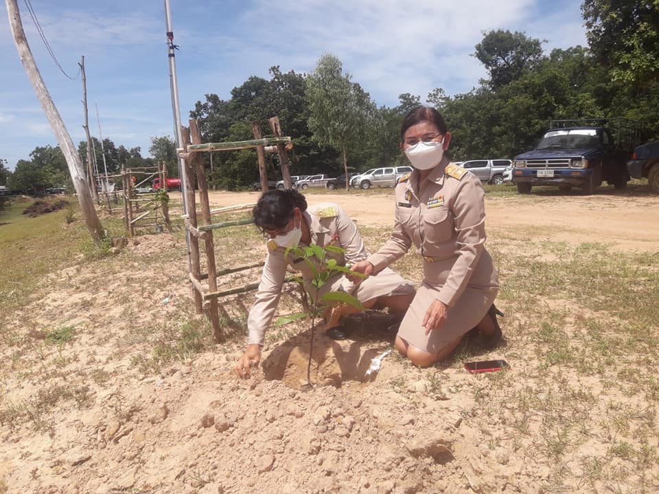 กิจกรรมปล่อยพันธุ์​สัตว์น้ำและปลูกต้นไม้​ เนื่องในโอกาสเฉลิมพระ​ชนมพรรษา​สมเด็จพระนางเจ้าสุธิดา​ พัชรสุธาพิมลลักษณ พระบรมราชินี 3​ มิถุนายน​ 2565​ 