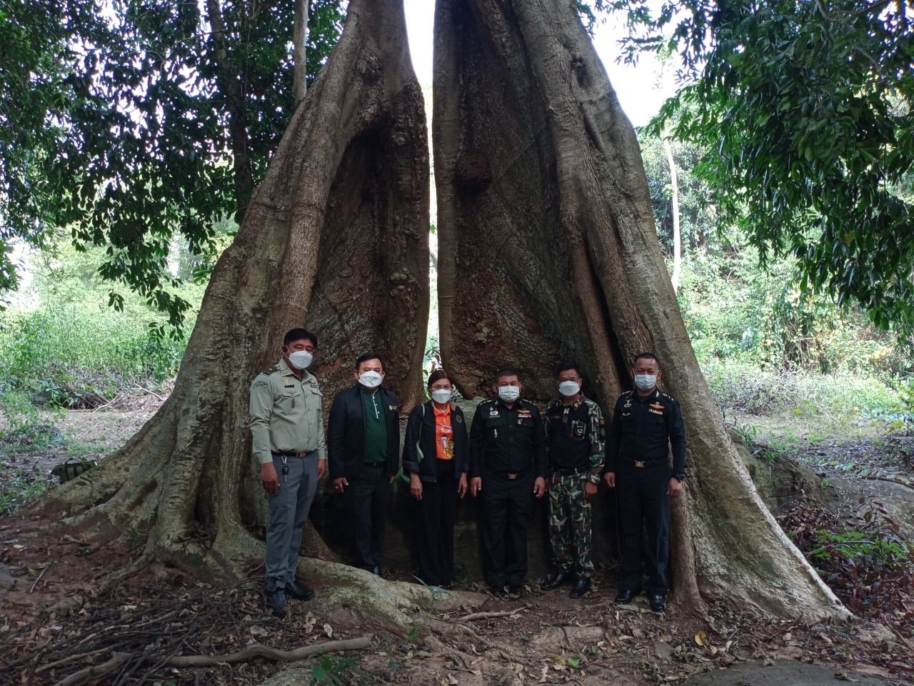 ด้านการผนึกกำลังป้องกันและปราบปรามการบุกรุกทำลายทรัพยากรป่าไม้ ในพื้นที่จังหวัดศรีสะเกษ 