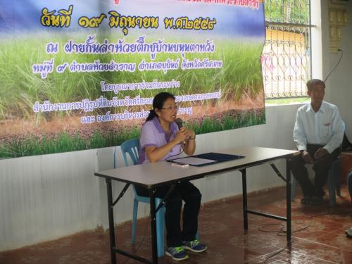 โครงการ การปลูกหญ้าแฝกอันเนื่องมาจากพระราชดำริฯ  