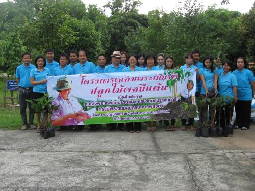 โครงการปลูกต้นไม้เฉลิมพระเกียรติ 