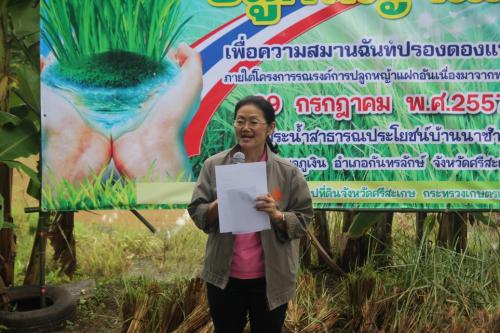 โครงการรรรงค์ปลูกหญ้าแผกอันเนื่องมาจากพระราชดำริฯ  
