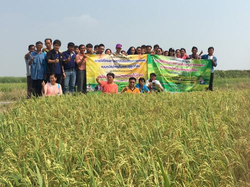ศึกษาดูงานตามโครงการระบบส่งเสริมการเกษตรแบบแปลงใหญ่แปลงใหญ่ ประจำปีงบประมาณ ๒๕๖๒