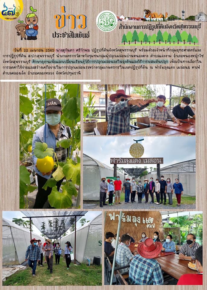 นำเกษตรกรวิสาหกิจชุมชนกลุ่มผู้ปลูกเมล่อนบ้านหนองคาง ตำบลแจงงาม อำเภอหนองหญ้าไซ จังหวัดสุพรรณบุรี ศึกษาดูงานเพื่อแลกเปลี่ยนเรียนรู้วิธีการปลูกเมล่อนลงในถุงดินและวิธีการผสมดินปลูก