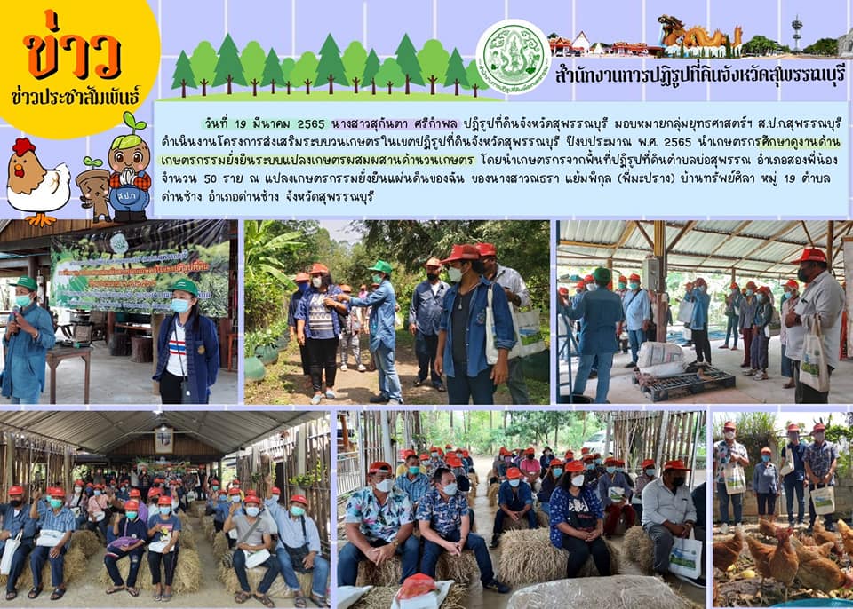 โครงการส่งเสริมระบบวนเกษตรในเขตปฏิรูปที่ดินจังหวัดสุพรรณบุรี ปีงบประมาณ พ.ศ. 2565 นำเกษตรกรศึกษาดูงานด้านเกษตรกรรมยั่งยืนระบบแปลงเกษตรผสมผสานด้านวนเกษตร