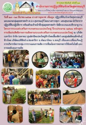 โครงการระบบส่งเสริมการเกษตรแบบแปลงใหญ่ ปีงบประมาณ 2562 หลักสูตร การเพิ่มประสิทธิภาพการผลิตตามระบบส่งเสริมการเกษตรแบบแปลงใหญ่