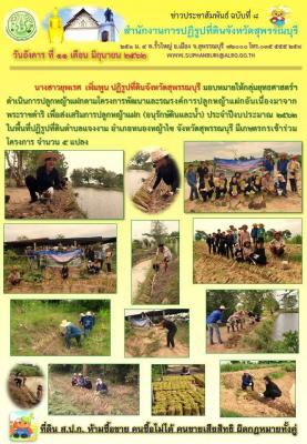 ดำเนินการปลูกหญ้าแฝกตามโครงการพัฒนาและรณรงค์การปลูกหญ้าแฝกอันเนื่องมาจากพระราชดำริ