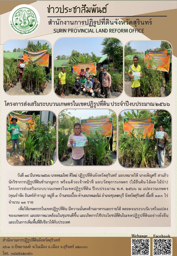 วันที่ ๑๔ มีนาคม ๒๕๖๖ นายพนมไพร ดีใหม่ ปฏิรูปที่ดินจังหวัดสุรินทร์ มอบหมายให้ นางเพ็ญศรี สาแก้ว นักวิชาการปฏิรูปที่ดินชำนาญการ พร้อมด้วยเจ้าหน้าที่ มอบวัสดุการเกษตร (ไม้ยืนต้น-ไม้ผล-ไม้ป่า) โครงการส่งเสริมระบบวนเกษตรในเขตปฏิรูปที่ดิน ปีงบประมาณ พ.ศ. ๒๕๖๖ ณ แปลงวนเกษตร (คุณรำพึง อินทร์สำราญ) หมู่ที่ ๓ บ้านกระเบื้อง ตำบลนาหนองไผ่ อำเกอชุมพลบุรี จังหวัดสุรินตร์ เนื้อที่ ๑๓๐ ไร่ จำนวน ๑๓ ราย