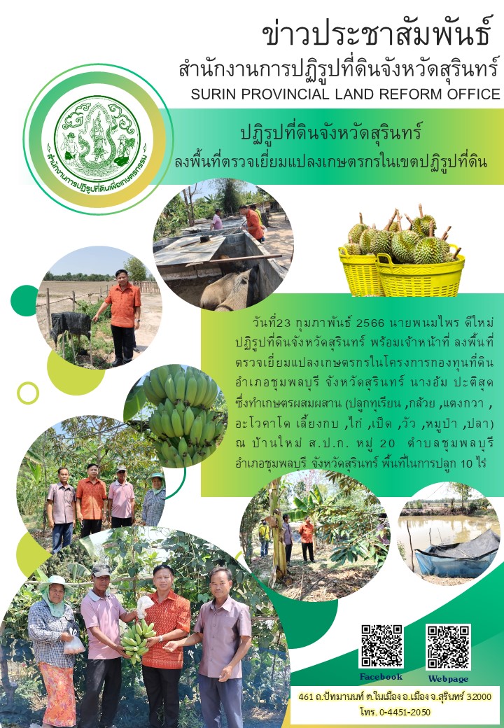      วันที่23 กุมภาพันธ์ 2566 นายพนมไพร ดีใหม่ ปฏิรูปที่ดินจังหวัดสุรินทร์ พร้อมเจ้าหน้าที่ ลงพื้นที่    ตรวจเยี่ยมแปลงเกษตรกรในโครงการกองทุนที่ดิน           อำเภอชุมพลบุรี จังหวัดสุรินทร์ นางอ้ม ปะติสุด          ซึ่งทำเกษตรผสมผสาน (ปลูกทุเรียน ,กล้วย ,แตงกวา ,อะโวคาโด เลี้ยงกบ ,ไก่ ,เป็ด ,วัว ,หมูป่า ,ปลา)        ณ บ้านใหม่ ส.ป.ก. หมู่ 20  ตำบลชุมพลบุรี          อำเภอชุมพลบุรี จังหวัดสุรินทร์ พื้นที่ในการปลูก 10 ไร่