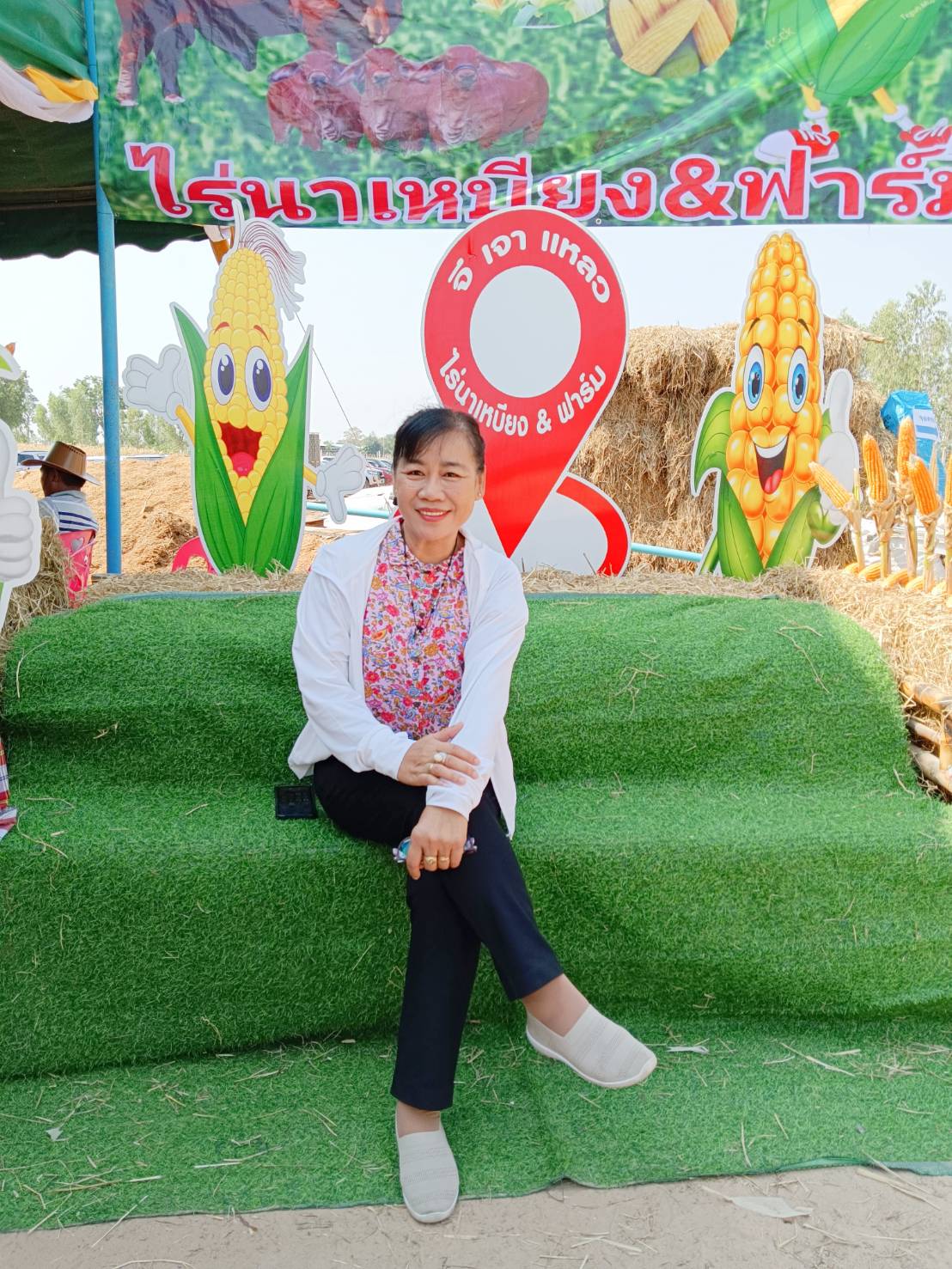 งานปลูกข้าวโพดเลี้ยงสัตว์