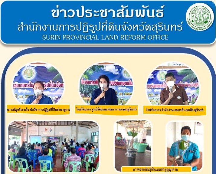 นายพนมไพร ดีใหม่ ปฏิรูปที่ดินจังหวัดสุรินทร์ มอบหมายให้ กลุ่มยุทธศาสตร์และการปฏิรูปที่ดิน นางเพ็ญศรี สาแก้ว นักวิชาการปฏิรูปที่ดินชำนาญการ จัดฝึกอบรมเกษตรกรโครงการส่งเสริมระบบวนเกษตรในเขตปฏิรูปที่ดิน ประจำปีงบประมาณ พ.ศ. 2565 จำนวน 50 ราย ในระหว่างวันที่ 9 – 10 กุมภาพันธ์ 2565 ณ ศาลาประชาคมบ้านกะโงก หมู่ที่ 3 ตำบลสะเดา อำเภอบัวเชด จังหวัดสุรินทร์