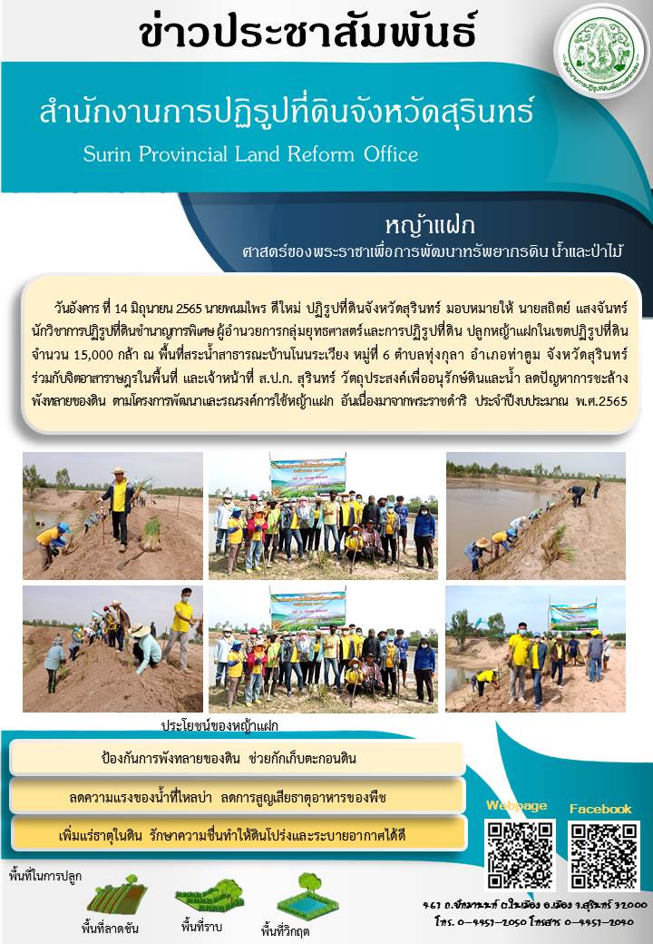 วันที่ 14 มิถุนายน 2565 นายพนมไพร ดีใหม่ ปฏิรูปที่ดินจังหวัดสุรินทร์ มอบหมายให้ นายสถิตย์ แสงจันทร์ นักวิชาการปฏิรูปที่ดินชำนาญการพิเศษ ผู้อำนวยการกลุ่มยุทธศาสตร์และการปฏิรูปที่ดิน ปลูกหญ้าแฝกในเขตปฏิรูปที่ดิน จำนวน 15,000 กล้า ณ พื้นที่สระน้ำสาธารณะบ้านโนนระเวียง หมู่ที่ 6 ตำบลทุ่งกุลา อำเภอท่าตูม จังหวัดสุรินทร์ ร่วมกับจิตอาสาราษฎรในพื้นที่ และเจ้าหน้าที่ ส.ป.ก.สุรินทร์