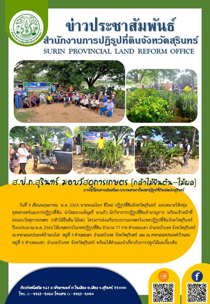 วันที่ 9 พฤษภาคม 2565 นายพนมไพร ดีใหม่ ปฏิรูปที่ดินจังหวัดสุรินทร์ มอบหมายให้กลุ่มยุทธศาสตร์และการปฏิรูปที่ดิน นำโดยนางเพ็ญศรี สาแก้ว นักวิชาการปฏิรูปที่ดินชำนาญการ พร้อมเจ้าหน้าที่ส่งมอบวัสดุการเกษตร (กล้าไม้ยืนต้น-ไม้ผล) โครงการส่งเสริมระบบวนเกษตรในเขตปฏิรูปที่ดินจังหวัดสุรินทร์ ปีงบประมาณ พ.ศ.2565 ให้เกษตรกรในเขตปฏิรูปที่ดิน จำนวน 77 ราย ตำบลสะเดา อำเภอบัวเชด จังหวัดสุรินทร์ ณ ศาลาเอนกประสงค์บ้านกะโงก หมู่ที่ 3 ตำบลสะเกา อำเภอบัวเชด จังหวัดสุรินทร์ และ ณ ศาลาเอนกประสงค์บ้านสน หมู่ที่ 5 ตำบลสะเดา อำเภอบัวเชด จังหวัดสุรินทร์ พร้อมให้คำแนะนำเกี่ยวกับการปลูกไม้ผลเบื้องต้น