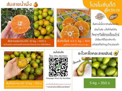 สินค้าเกษตรในเขตปฏิรูปที่ดิน เกษตรกร ส.ป.ก.ตากได้รับผลกะทบจาก COVID-19 มีสินค้าจำนวนมาก ตลาดชะลอการรับสินค้า ผู้มีความประสงค์หรือสนใจสินค้าสามารถติดต่อเกษตรกรได้โดยตรง ตามเบอร์โทรและช่องทางติดต่อเลยครับ เราจะผ่านไปด้วยกัน