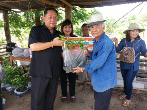 งานวันปลูกต้นไม้แห่งชาติ ประจำปี 2560 