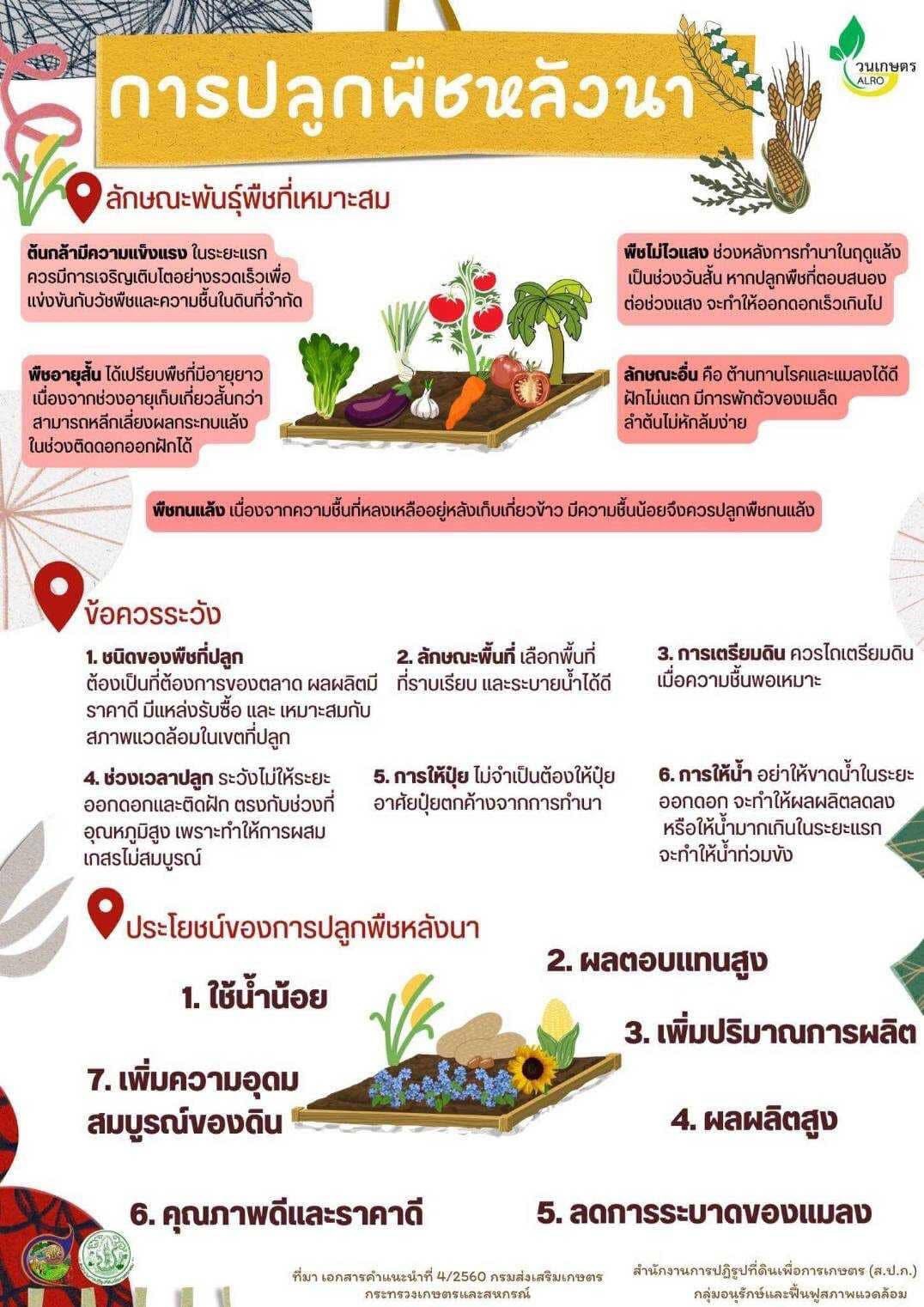 title - การปลูกพืชหลังนา