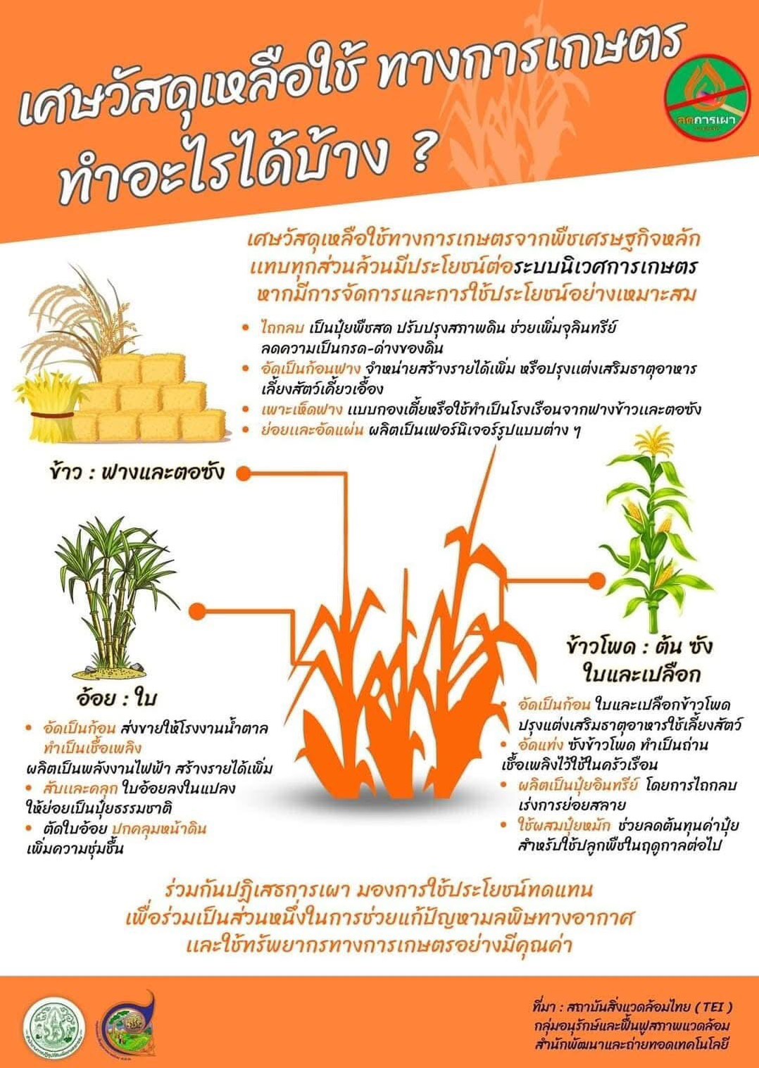 title - เศษวัสดุเหลือใช้ทางการเกษตรนำไปใช้อะไรได้บ้าง