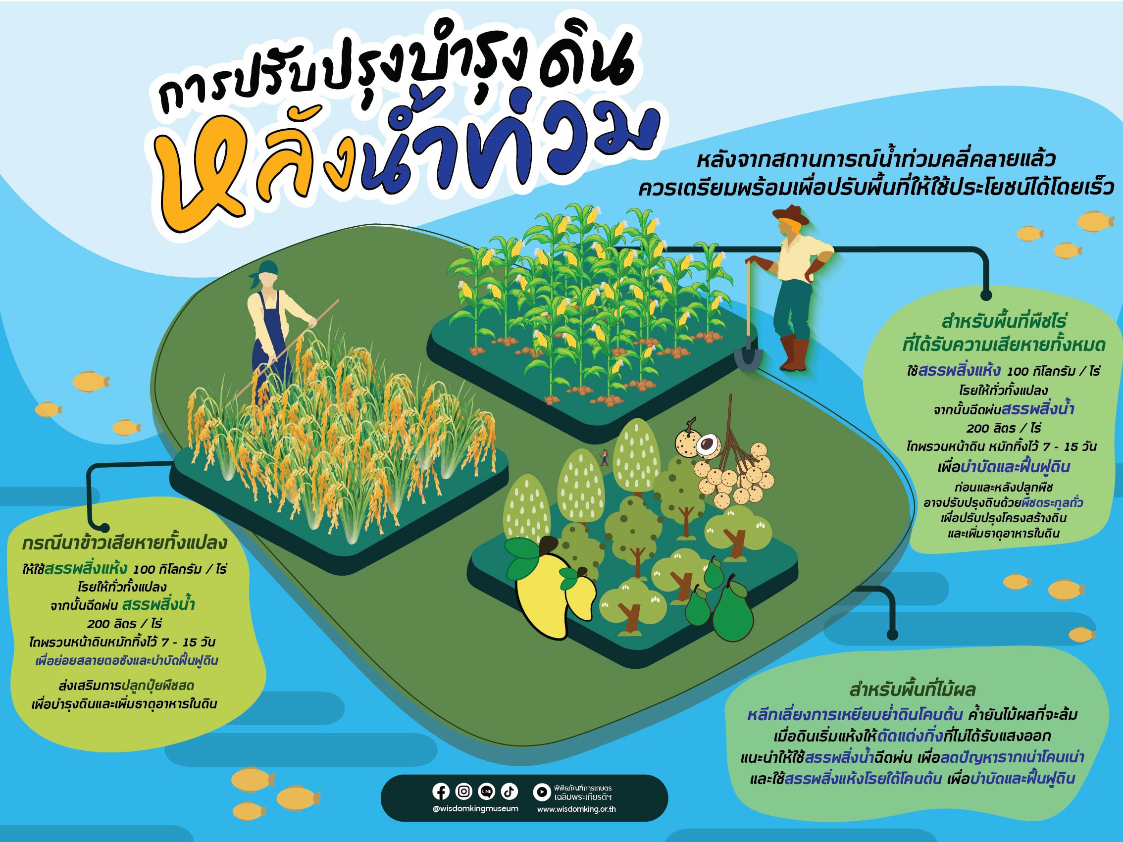 การปรับปรุงบำรุงดินหลังน้ำท่วม
