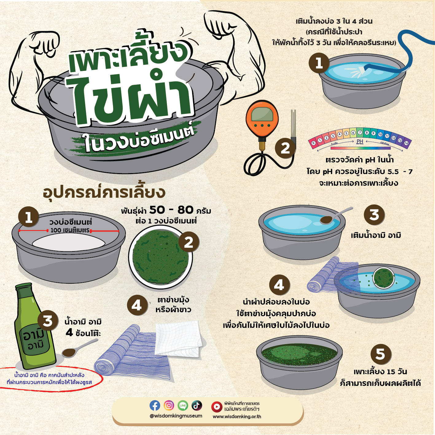 การเพาะเลี้ยงไข่ผำในวงบ่อซีเมนต์