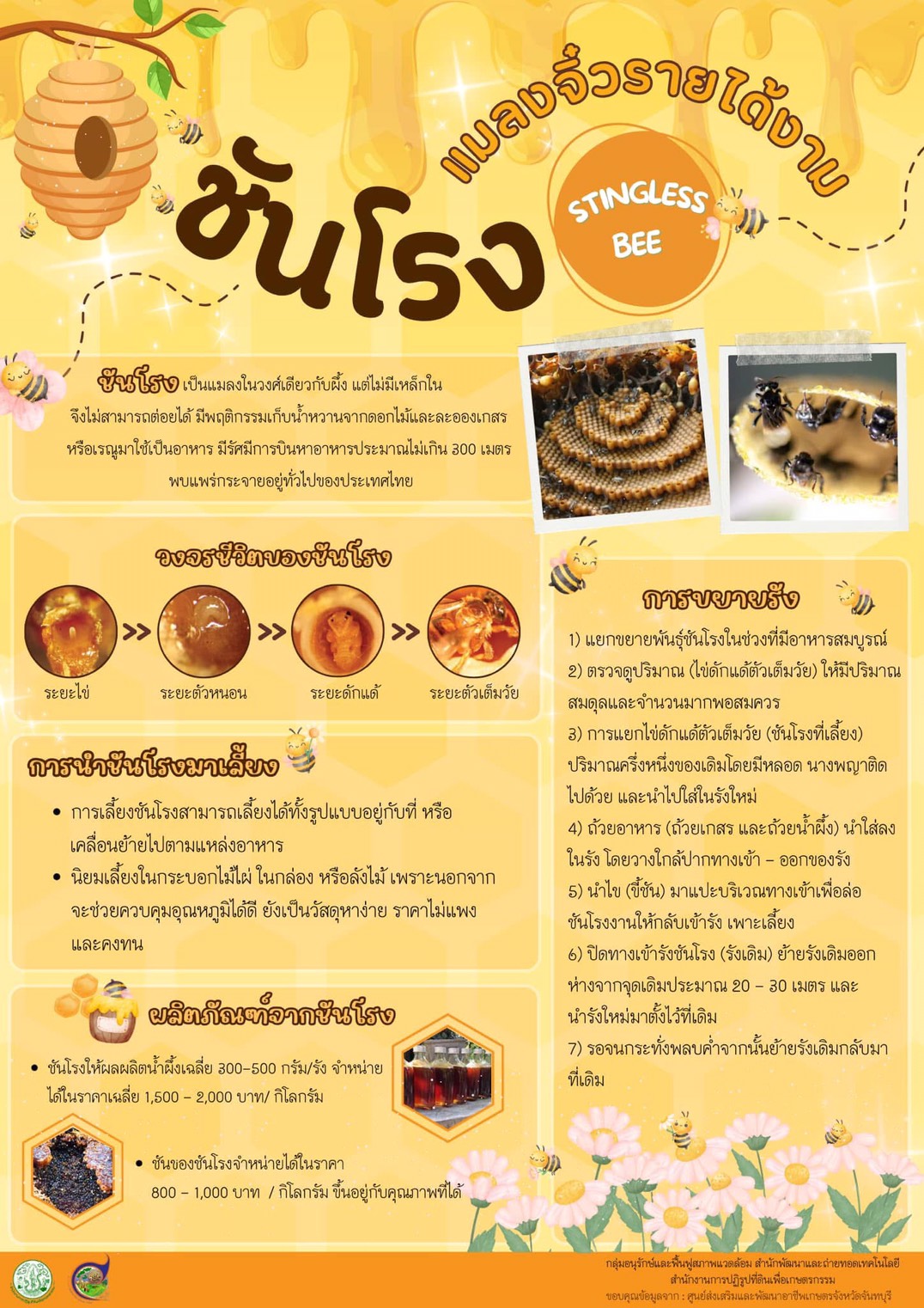 ชันโรง แมลงจิ๋วรายได้งาม