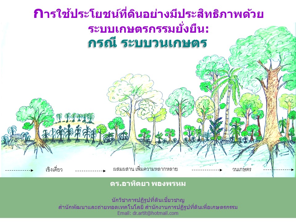 การใช้ประโยชน์ที่ดินอย่างมีประสิทธิภาพด้วยระบบเกษตรกรรมยั่งยืน กรณี ระบบวนเกษตร