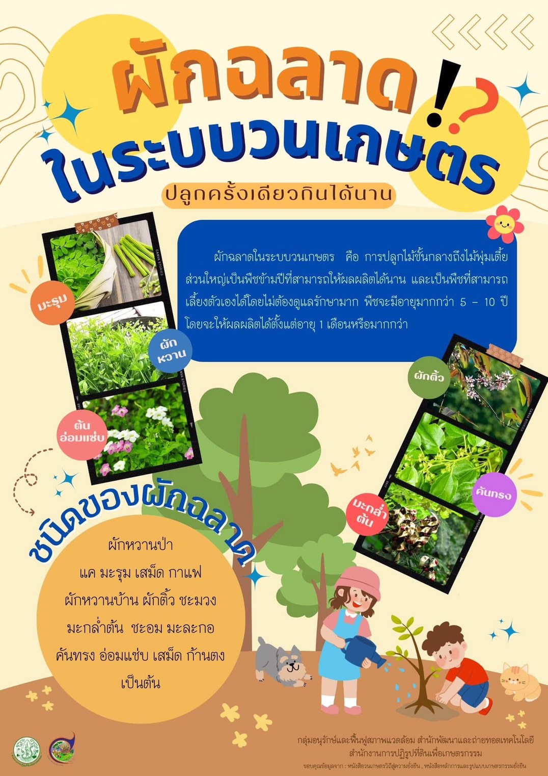 ผักฉลาดในระบบวนเกษตร
