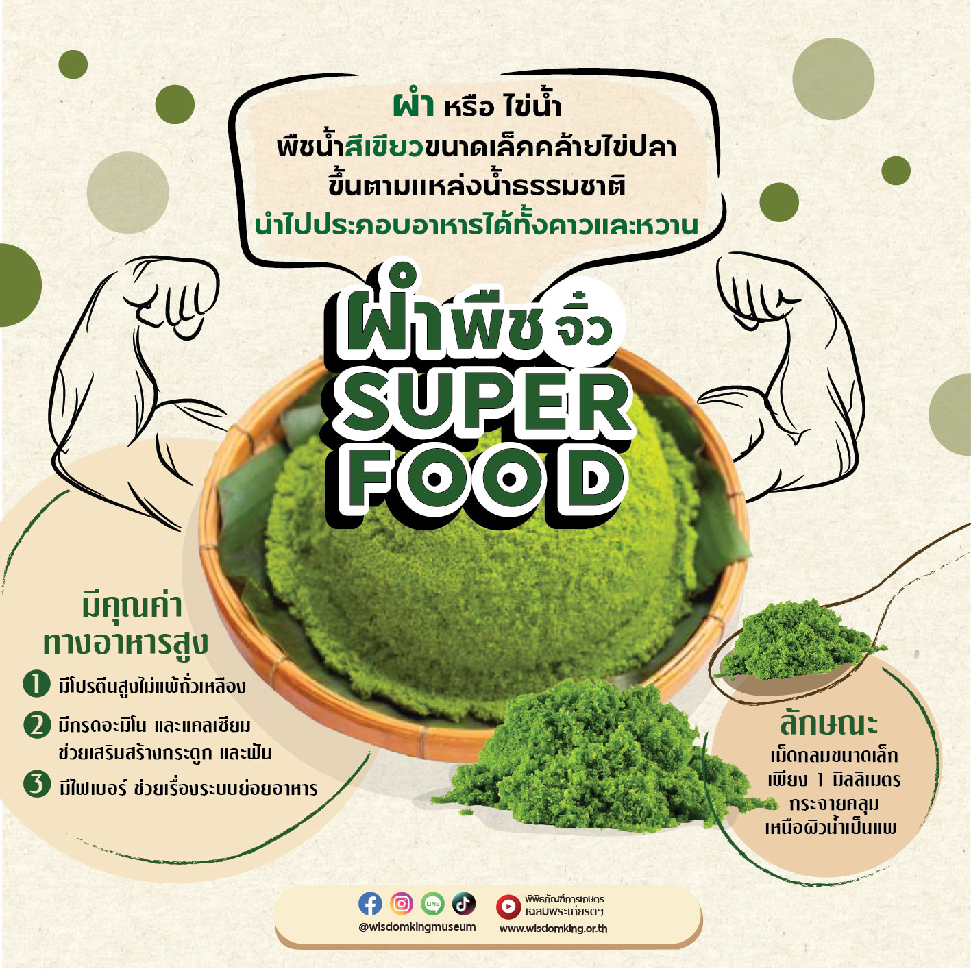 ผำพืชจิ๋ว superfood