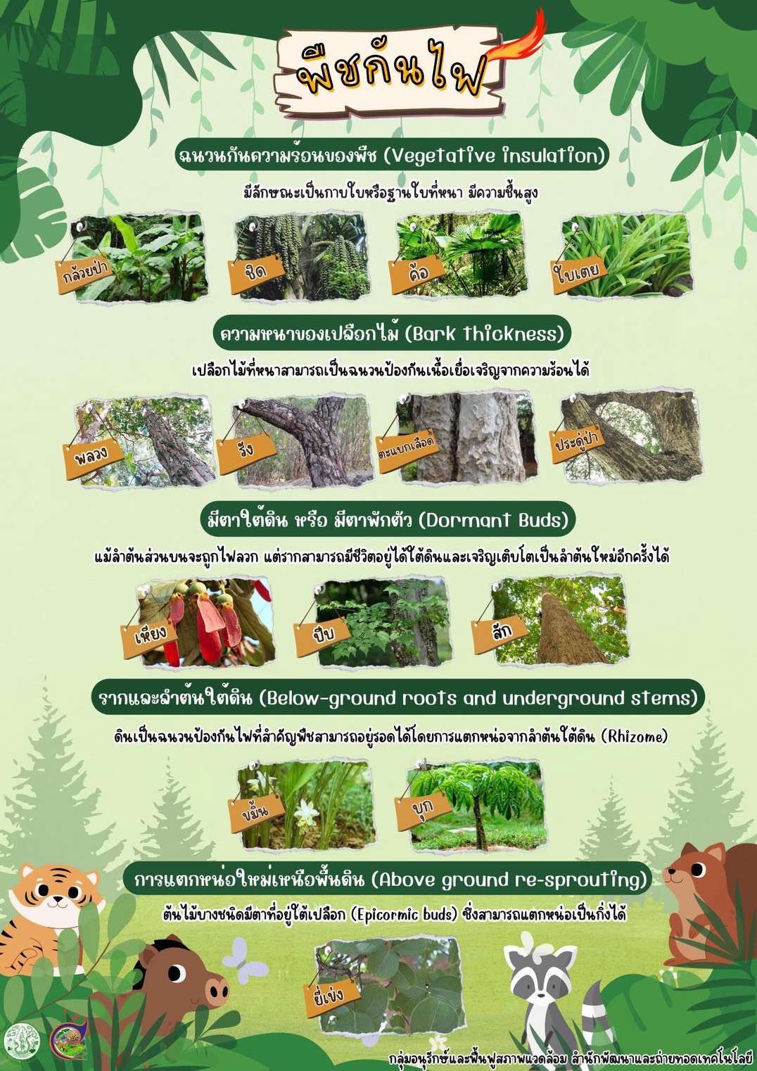 พืชกันไฟ