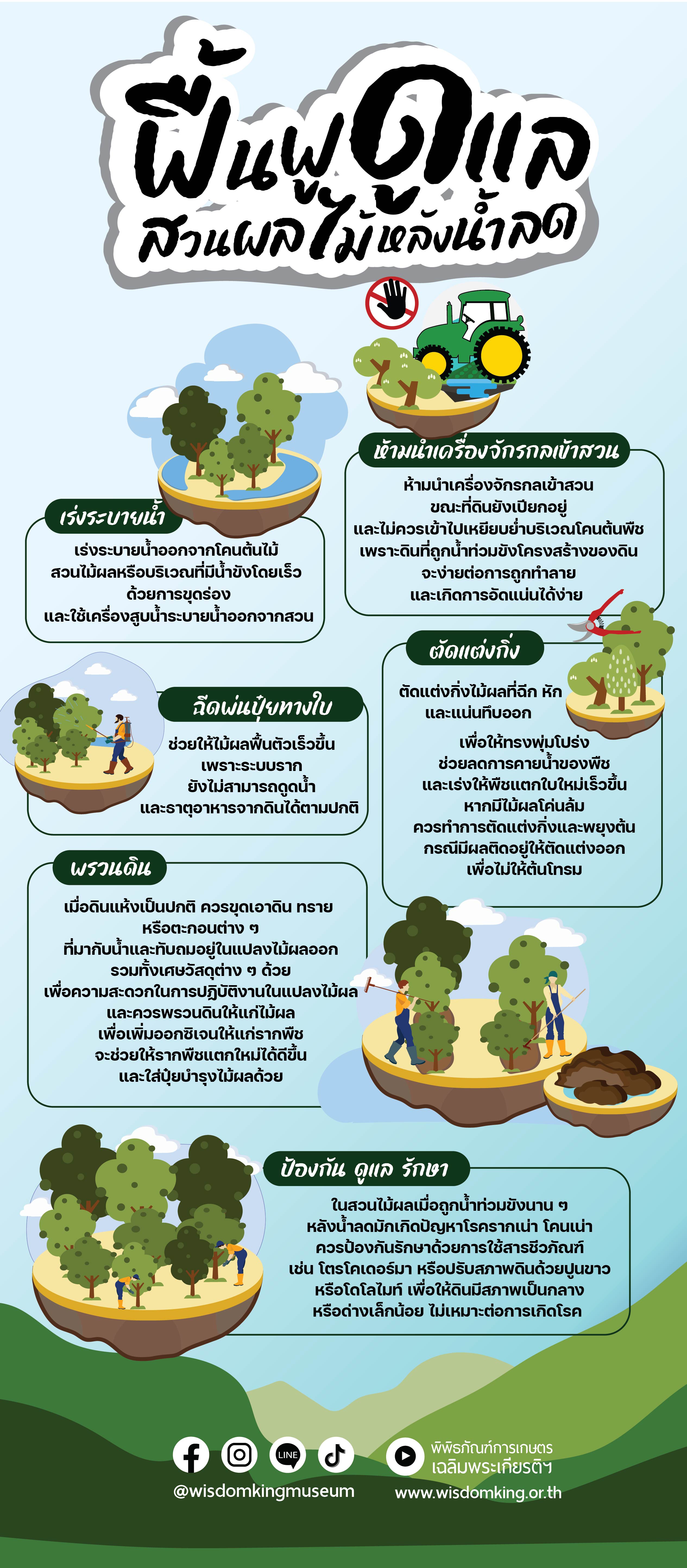 ฟื้นฟูและดูแลสวนผลไม้หลังน้ำลด