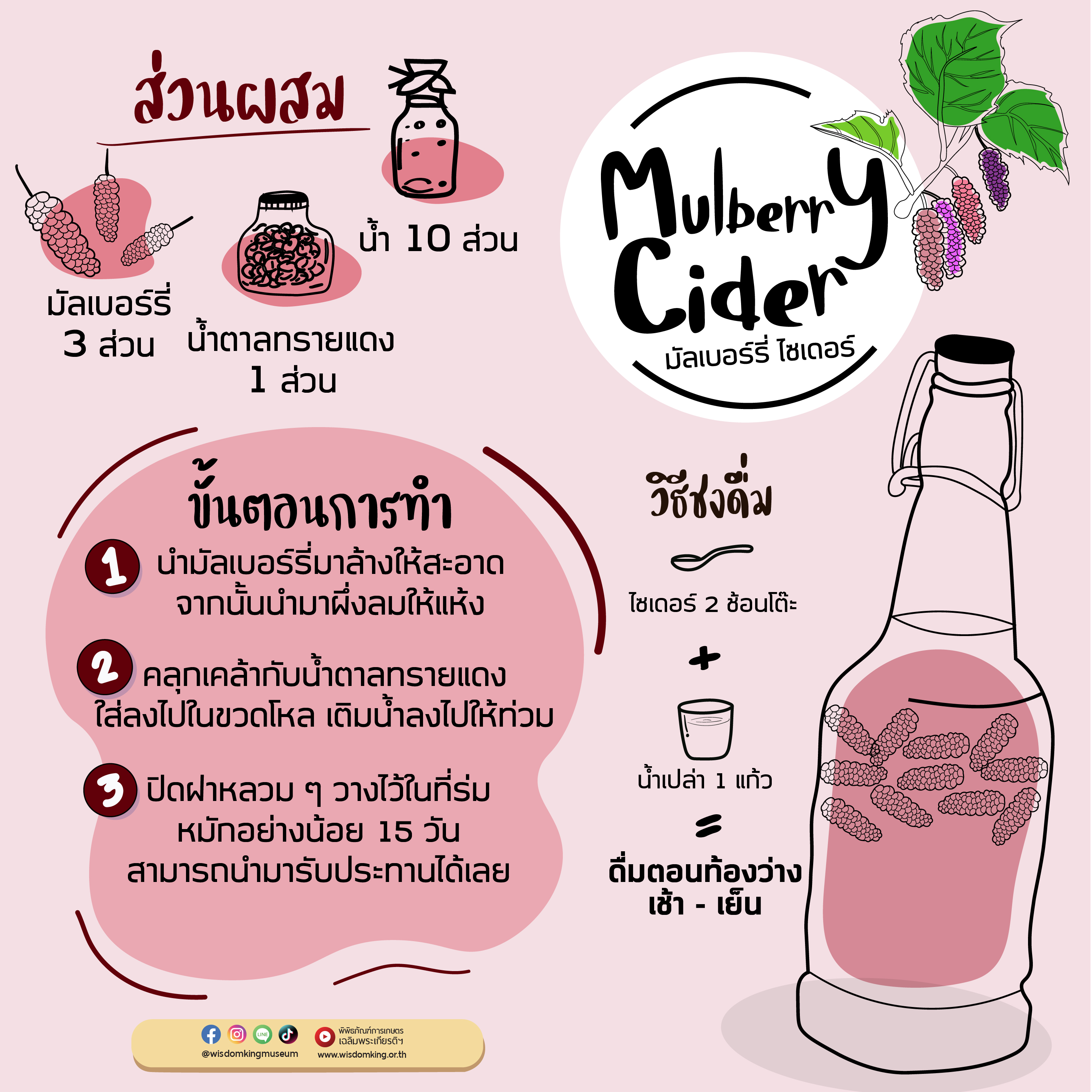 มัลเบอร์รี่ไซเดอร์