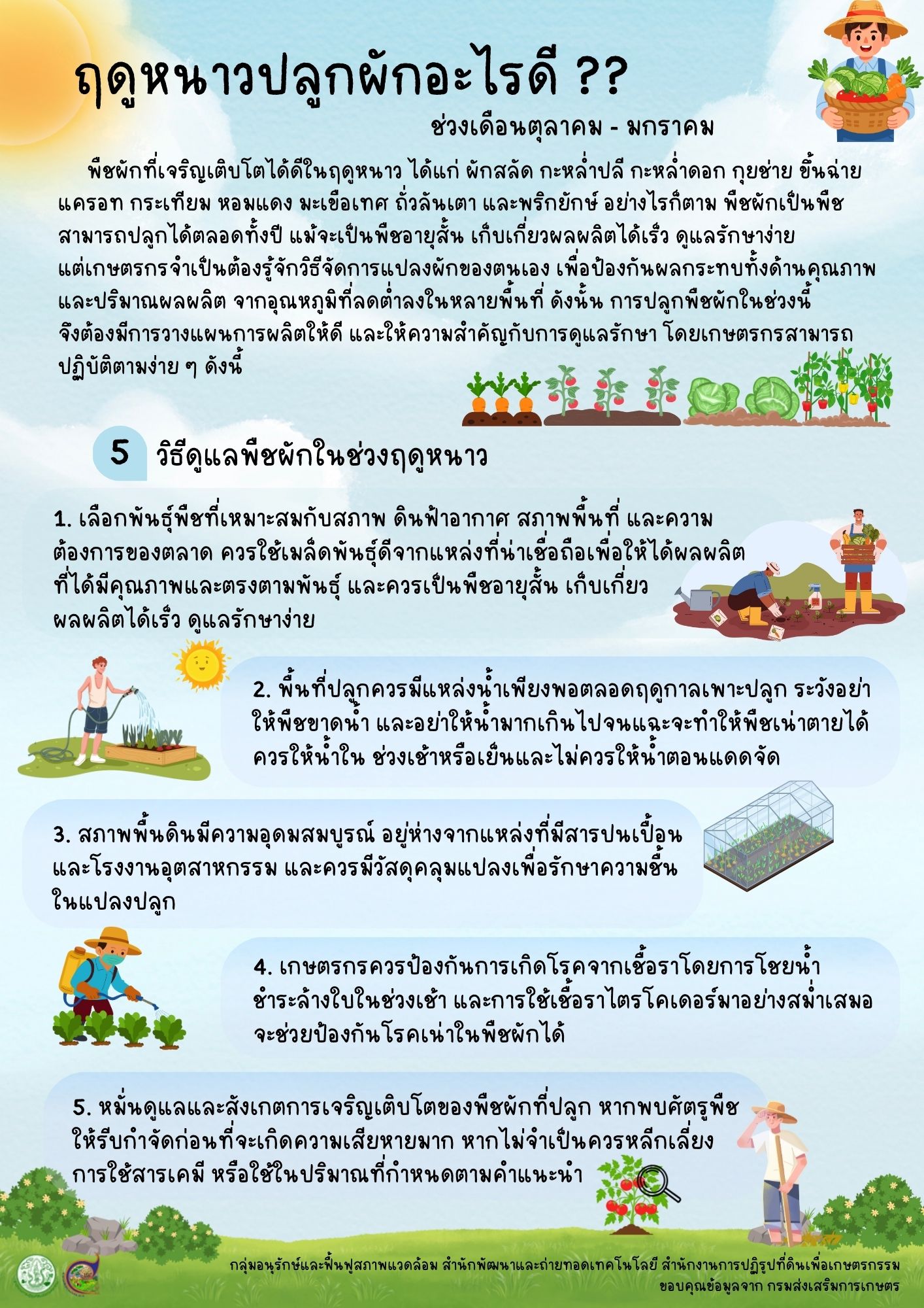 ฤดูหนาวปลูกผักอะไรดี