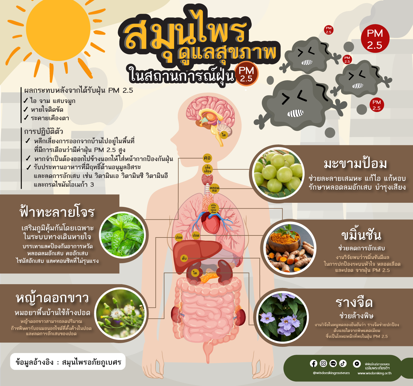 สมุนไพรดูแลสุขภาพ ในสถานการร์ PM 2.5