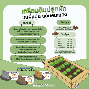 เตรียมดินปลูกผักบนพื้นปูนฉบับคนเมือง