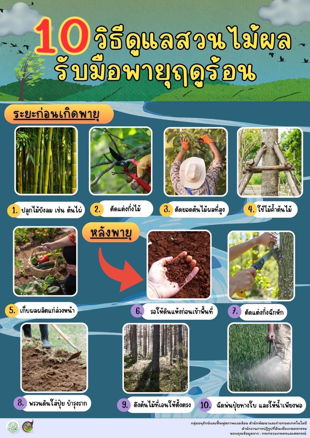 10 วิธีดูแลสวนผลไม้รับมือพายุฤดูร้อน