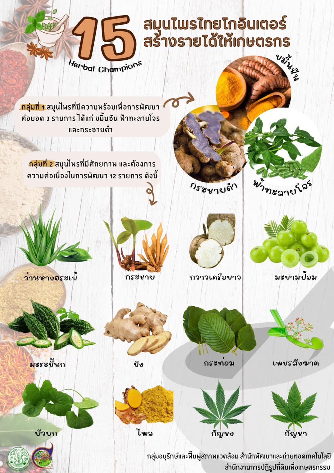 15 สมุนไพรไทยโกอินเตอร์