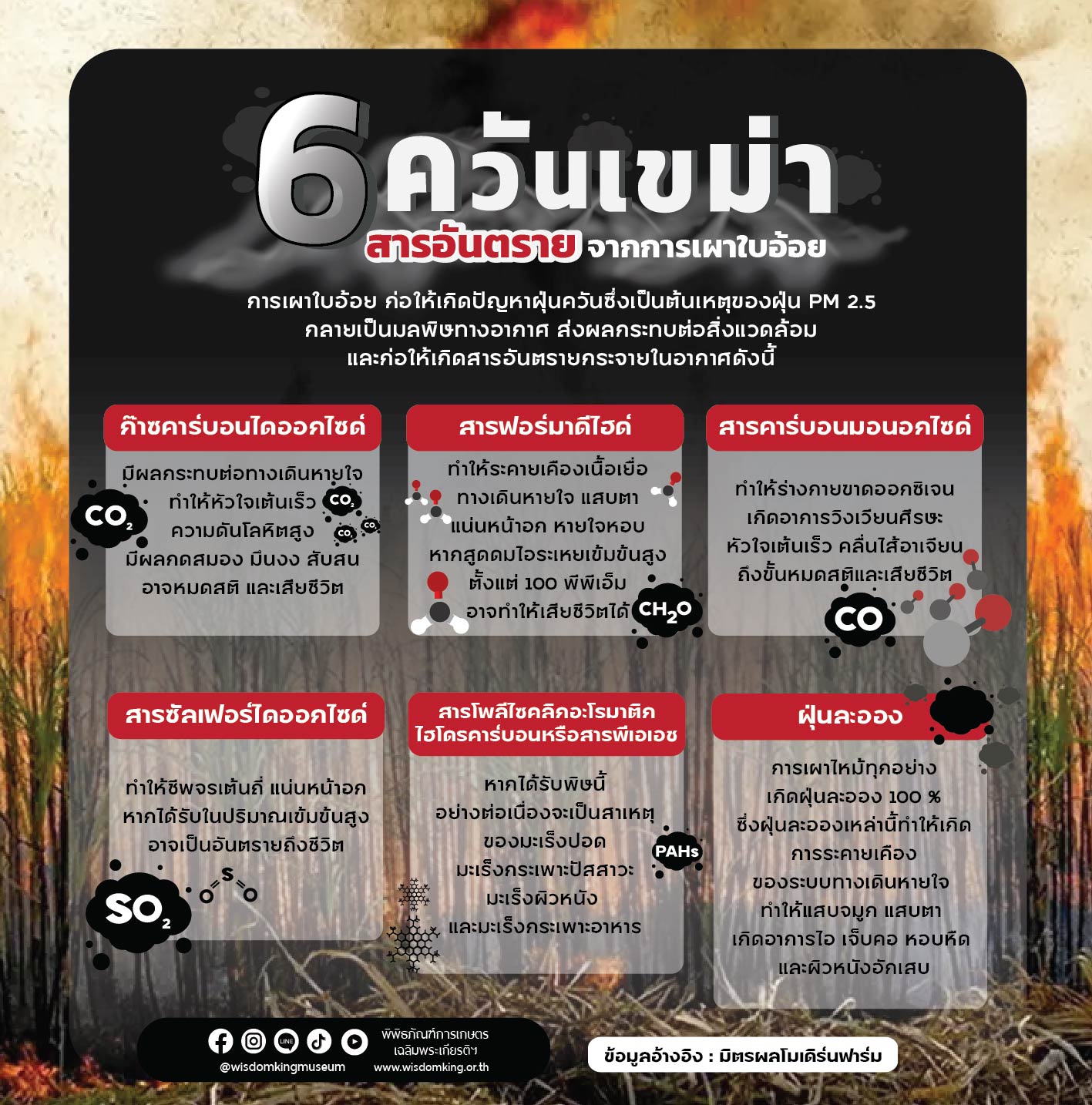 6 ควันเขม่าสารอันตรายจากการเผาใบอ้อย