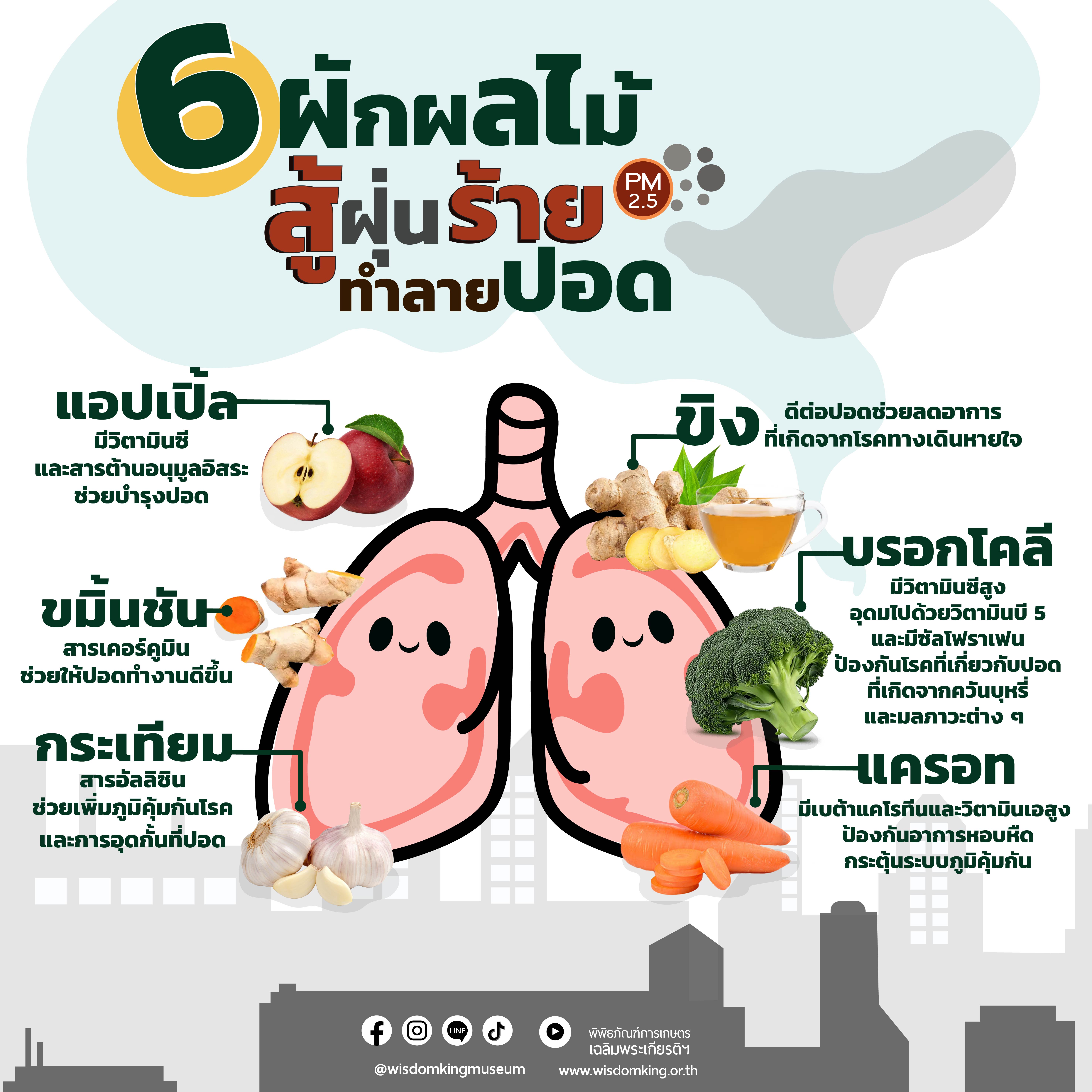 6 ผักผลไม้ บำรุงปอด