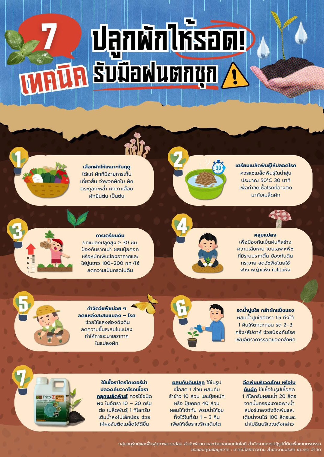 7 เทคนิคปลูกผักให้รอดในช่วงฝนชุก