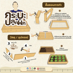 DIY กระบะปลูกผัก