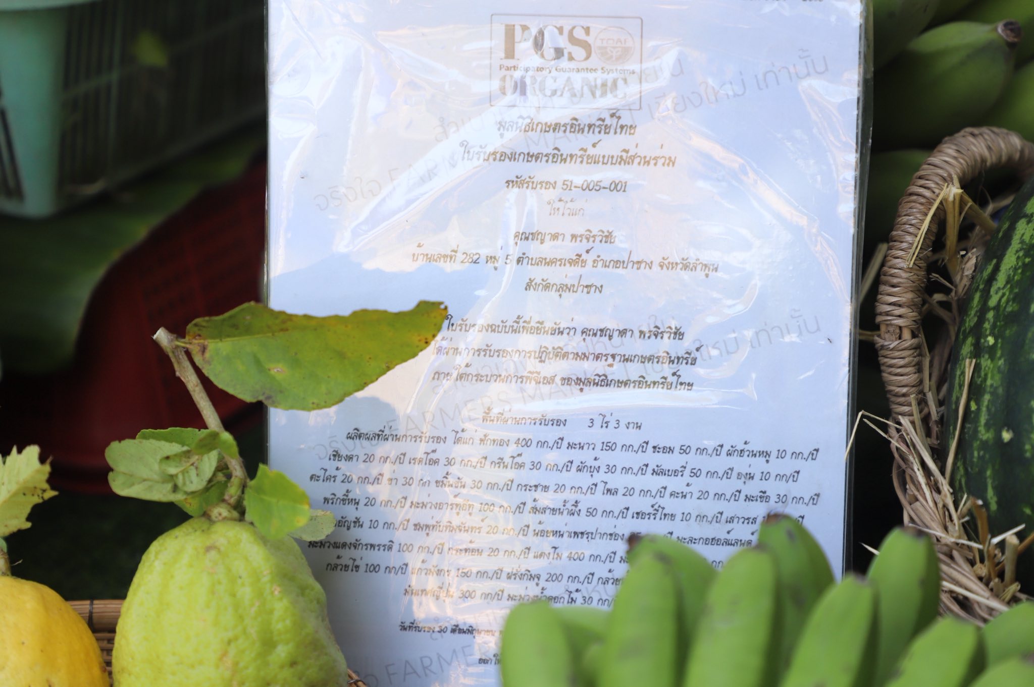 title - เกษตรกรปลื้ม เลขาธิการ ส.ป.ก. ตรวจเยี่ยมความสำเร็จต้นแบบ Smart Farmer จ.ลำพูน 