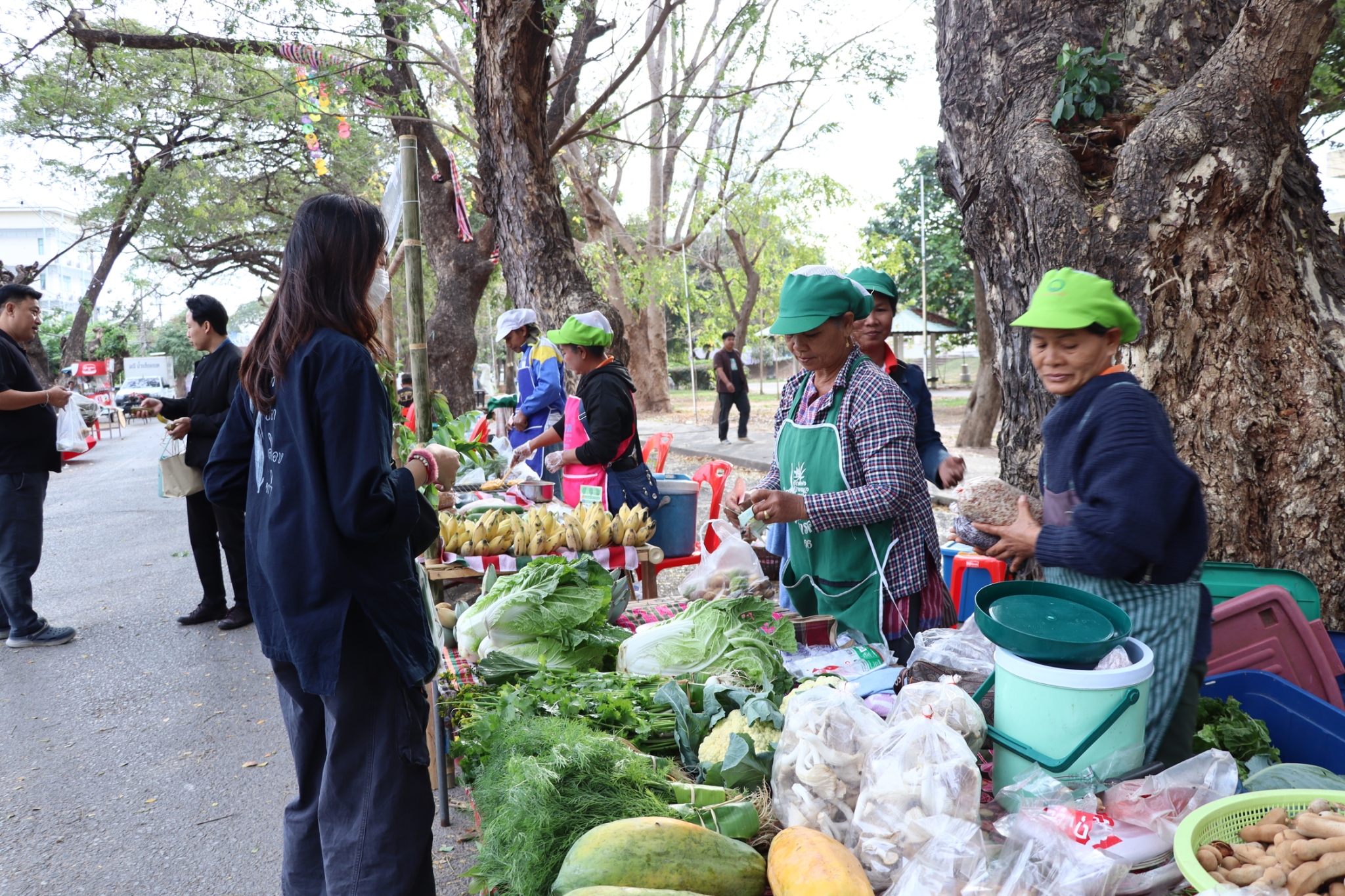 title - กพก. ติดตามผลเกษตรกรมหาสารคามและร่วมเป็นเกียรติในพิธี MOU ระหว่าง มรภ.มหาสารคาม ส.ป.ก.มหาสารคาม และกลุ่มเกษตรกร ส.ป.ก.มหาสารคาม