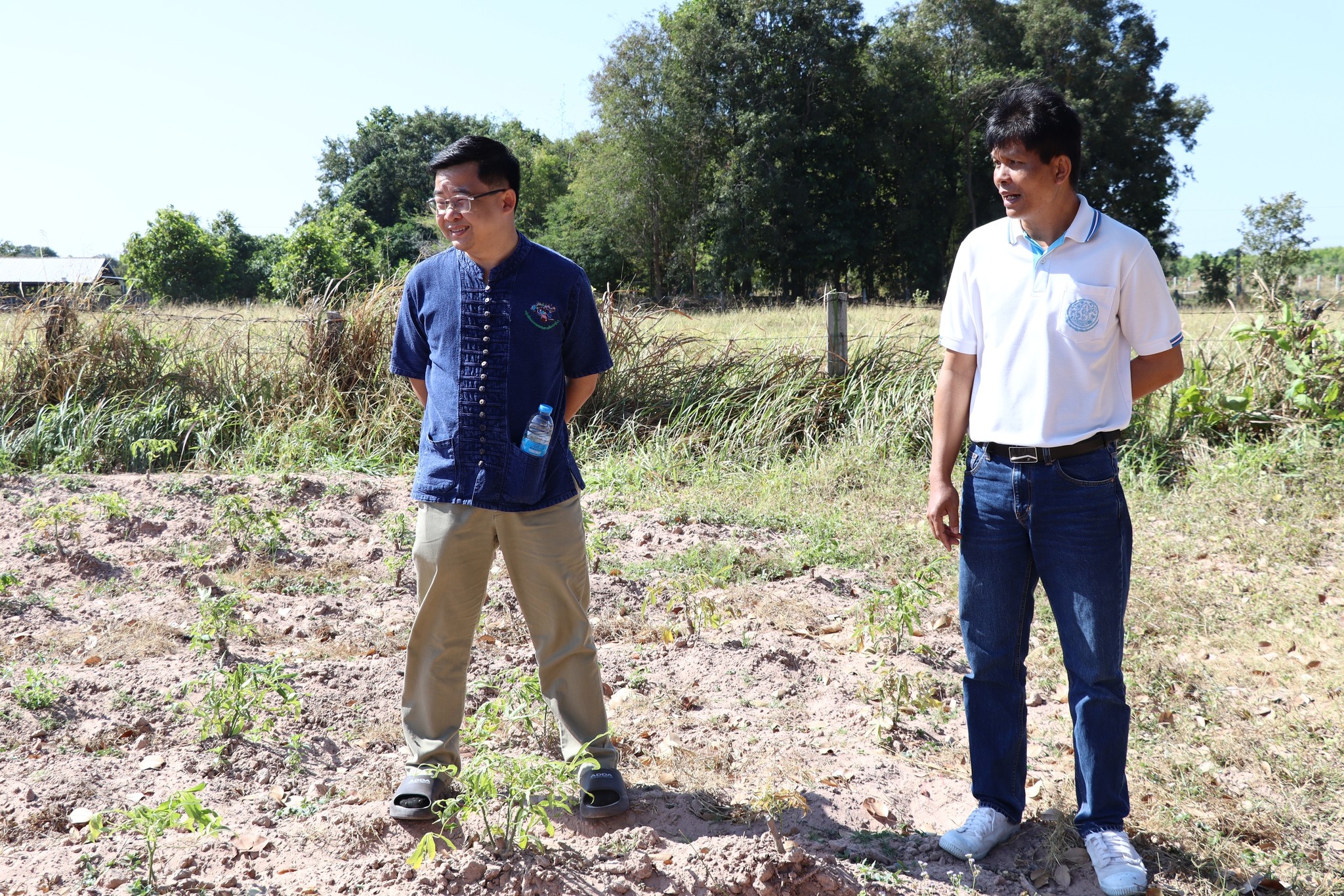 title - กพก. ติดตามผลการดำเนินงานของสมาชิกแปลงใหญ่มันสำปะหลังบ้านเหล่าโพธิ์ ต.หนองกุงสวรรค์ อ.โกสุมพิสัย จ.มหาสารคาม